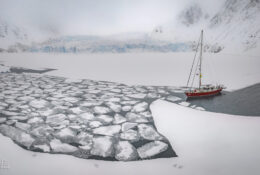 Spitsbergen_2025 (36/78)